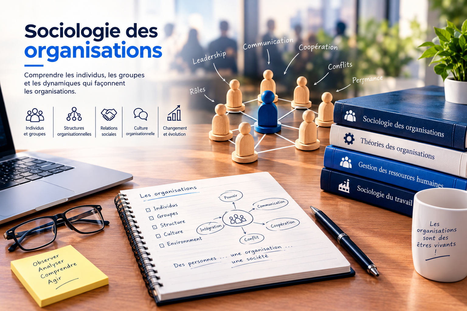 Sociologie des organisations
